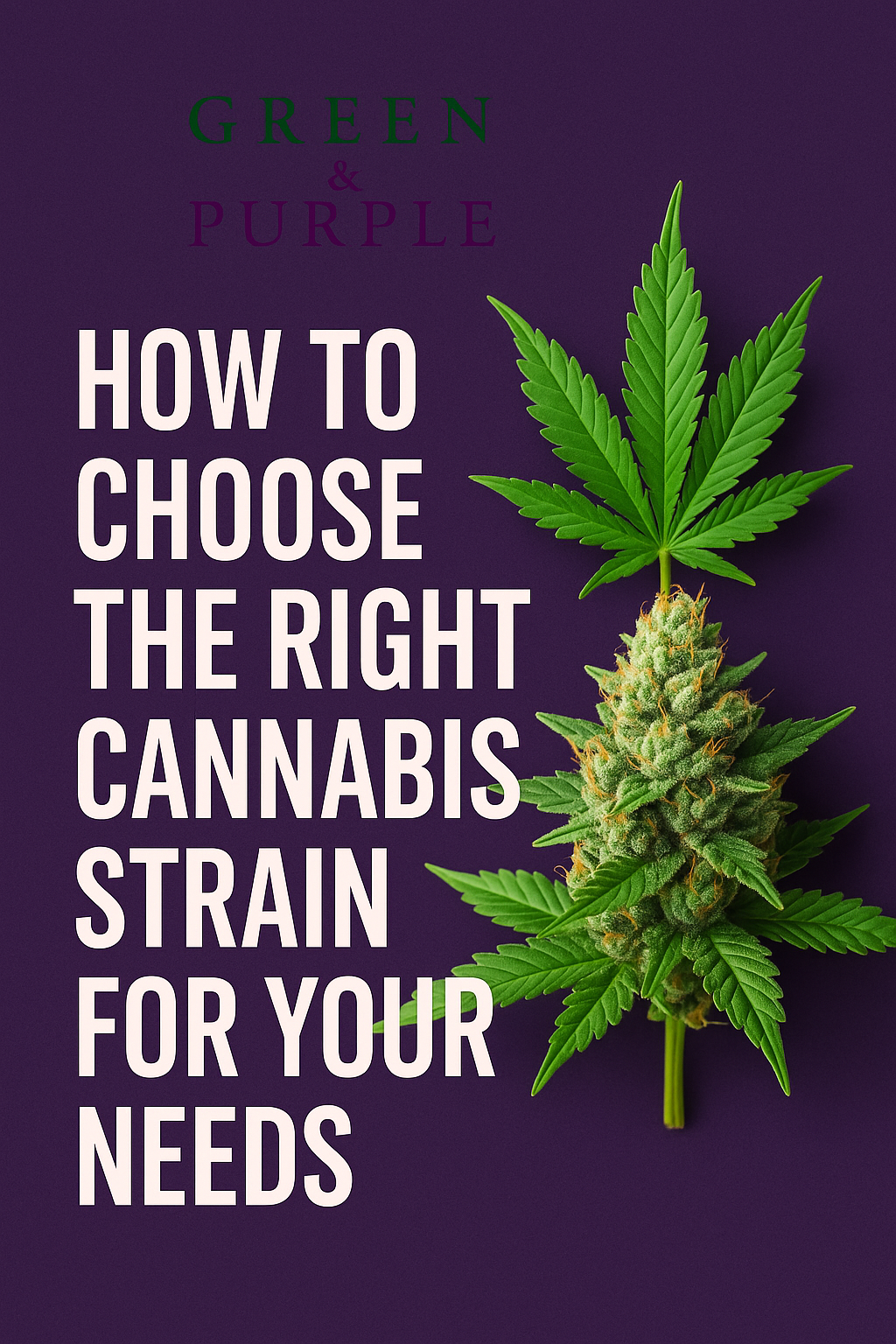 How to Choose the Right Cannabis Strain for Your Needs
